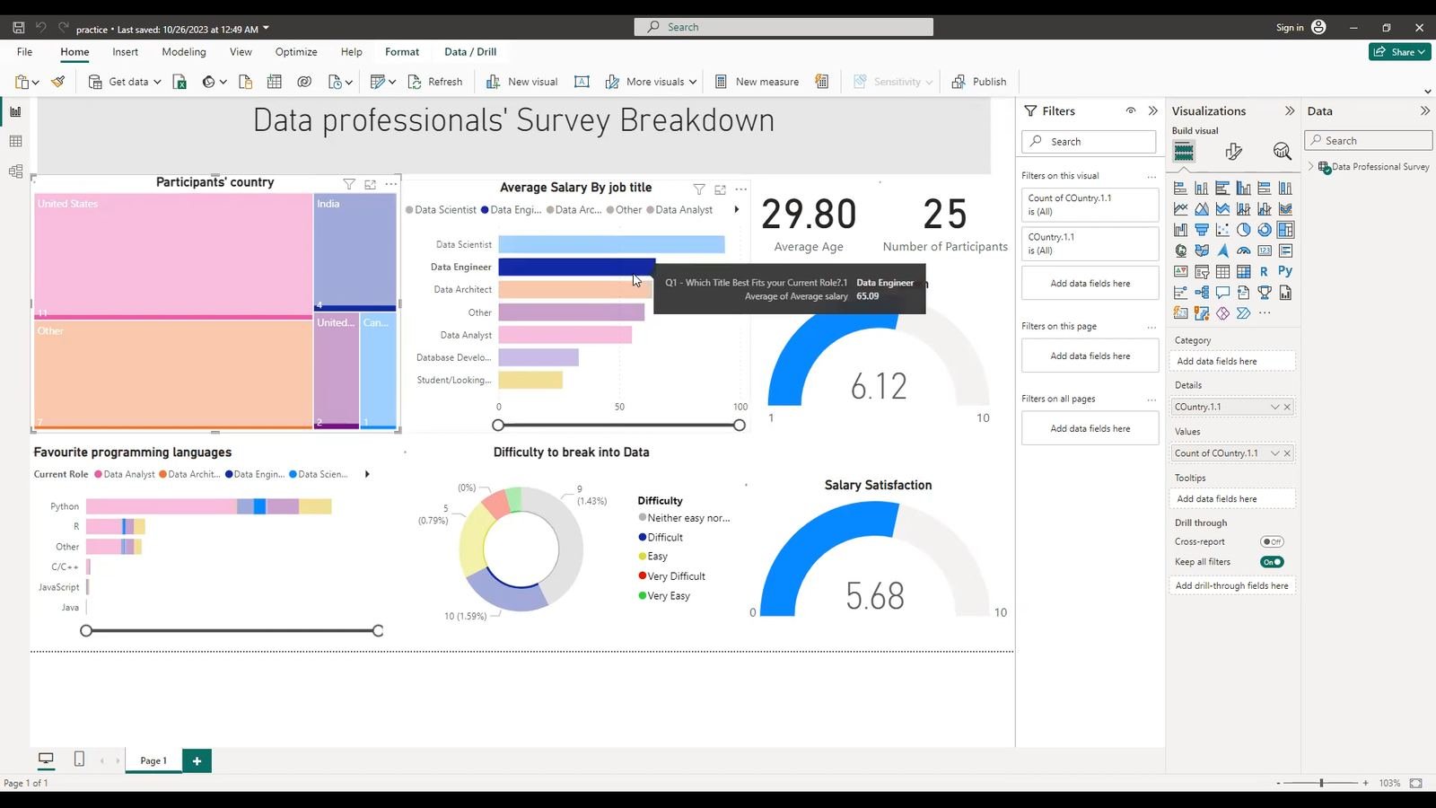 Data professionals survey dashboard with demographics and salary insights